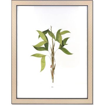 The Mia Vimini Siyah 40x50 cm Fotoğraf Çerçevesi