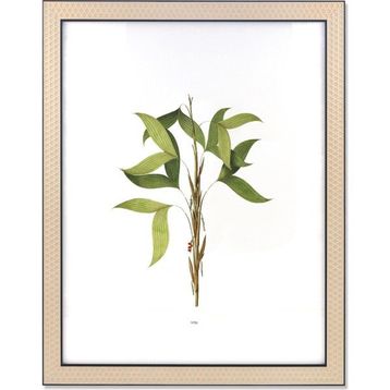 The Mia Vimini Siyah 40x50 cm Fotoğraf Çerçevesi