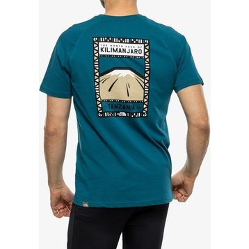 The North Face NF00CEQ8IVY1 Tee Yeşil Erkek T-shirt