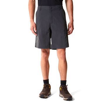 The North Face NF00CF720C51 M Horizon Cargo Shorts Eu Gri Erkek Outdoor Şort