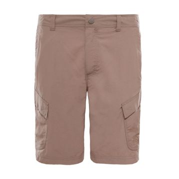 The North Face NF00CF729ZG1 Erkek Şort