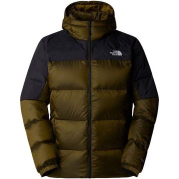 The North Face NF0A899290I1 Dıablo Down 2.0 Yeşil Kapüşonlu Erkek Mont