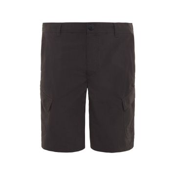 The North Face T0CF7203B Horizon Erkek Şort