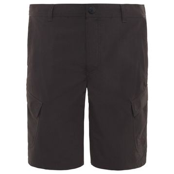 The North Face T0CF7203B Horizon Erkek Şort