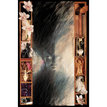 The Sandman Vol. 1 - Kolektif