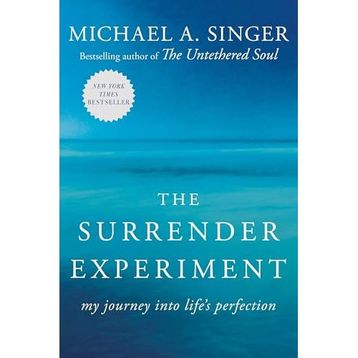 The Surrender Experiment: My Journey into Life's Perfection