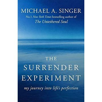 The Surrender Experiment: My Journey into Life's Perfection