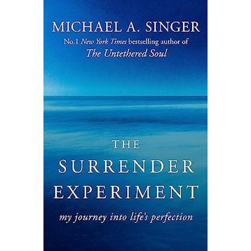 The Surrender Experiment: My Journey into Life's Perfection