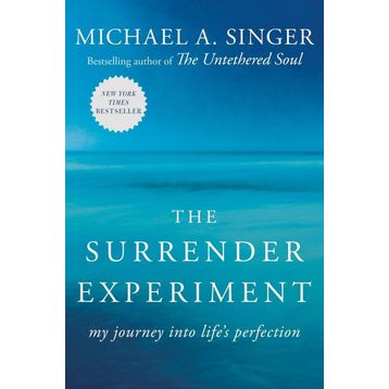 The Surrender Experiment: My Journey into Life's Perfection