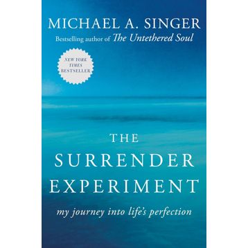 The Surrender Experiment: My Journey into Life's Perfection