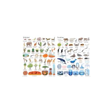 The Usborne 1000 Things In Nature