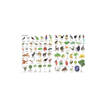 The Usborne 1000 Things In Nature