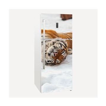 Tilki Dünyası 0010 Buzdolabı Stickerı