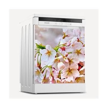 Tilki Dünyası 0091 Buzdolabı Stickerı
