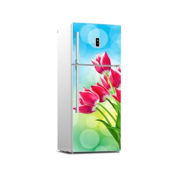 Tilki Dünyası 0106 Buzdolabı Stickerı