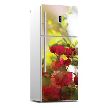 Tilki Dünyası 0120 Buzdolabı Stickerı