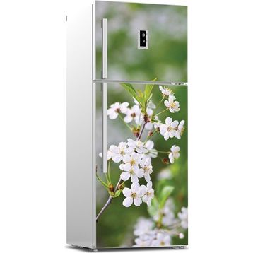 Tilki Dünyası 0122-BUZD000012 Buzdolabı Kapağı Kaplama Sticker