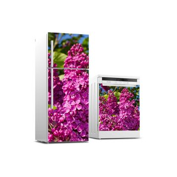 Tilki Dünyası 0142 Buzdolabı Stickerı