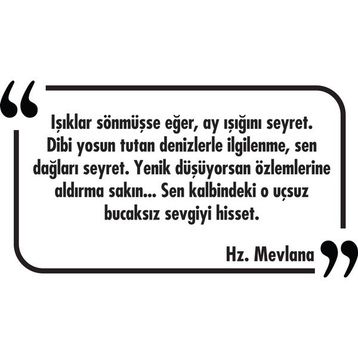 Tilki Dünyası 019 Dekoratif Duvar Yazısı Sticker