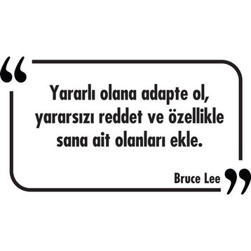 Tilki Dünyası 033 Dekoratif Duvar Yazısı Sticker