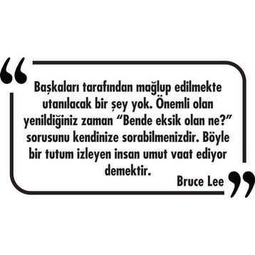 Tilki Dünyası 035 Dekoratif Duvar Yazısı Sticker