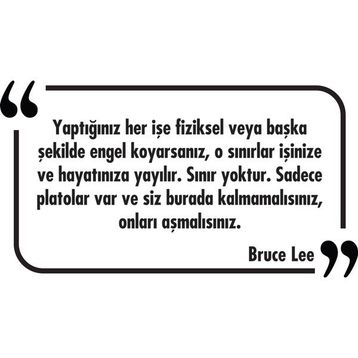 Tilki Dünyası 036 Dekoratif Duvar Yazısı Sticker