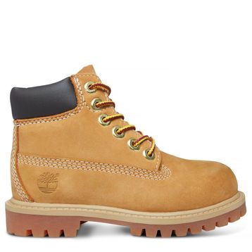 Timberland 6 IN PREMIUM WP Siyah Kadın Bot