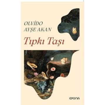 Tıpkı Taşı - Olvido Ayşe Akan