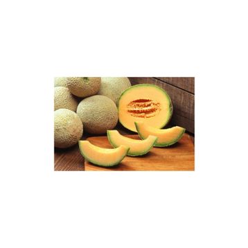 Tohhum Ananas Kavun Tohumu