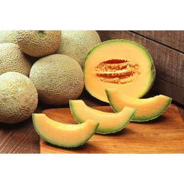 Tohhum Ananas Kavun Tohumu