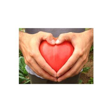 Tohhum Kalp Domates Oxheart Heırloom Tohumu