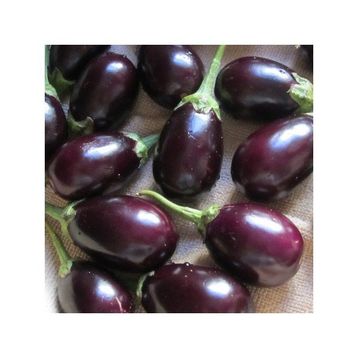 Tohhum Mini Patlıcan Saksılık Tohum