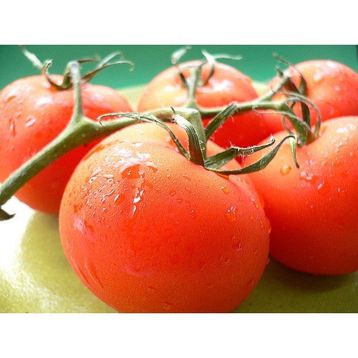Tohhum Osmanlı Domatesi Tohumu
