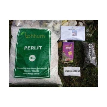 Tohhum Perlit Tohumu