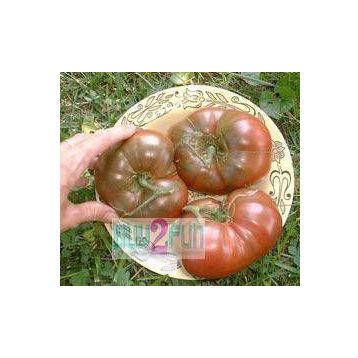 Tohhum Russian Domates Tohumu