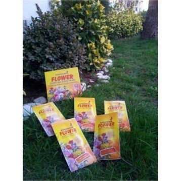 Tohhum Süs Bitkisi Besini Tohumu