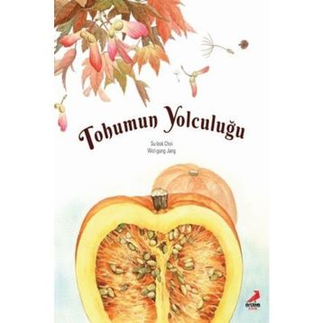 Tohumun Yolculuğu - Su-Bok Choy