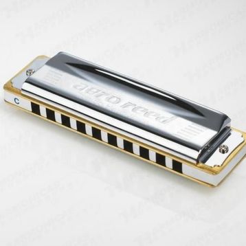 Tombo 2010D Aero Reed Re Majör Diatonic Mızıka