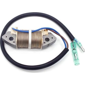 Tomking TK098-S/TK098-L Deniz Motoru Elektronik Bobin