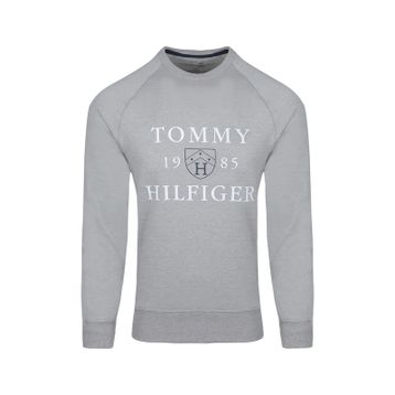 Tommy Hilfiger 09T4201-004 Gri Erkek Sweatshirt