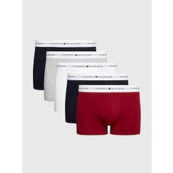 Tommy Hilfiger 5P Trunk Erkek Boxer