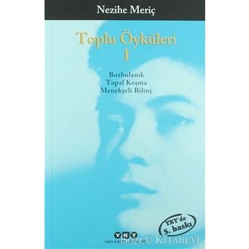 TOPLU ÖYKÜLERİ 1 - NEZIHE MERİÇ - NEZIHE MERİÇ