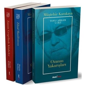 TOPLU ŞİİRLER 3 - GULSELI INAL