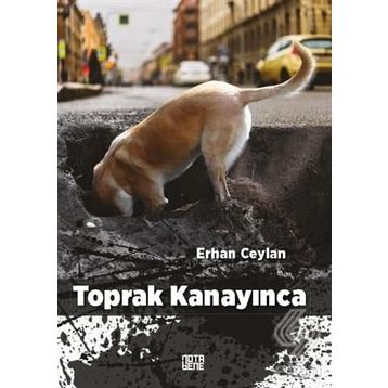 Toprak Kanayınca - Erhan Ceylan