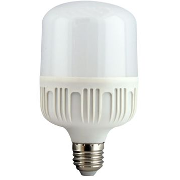 Torch 30 W Led Ampül