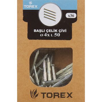 Torex Galvaniz 4x50 mm Çelik Çivi