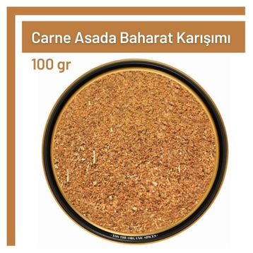 TOS 100 gr Carne Asada Baharat Karışımı