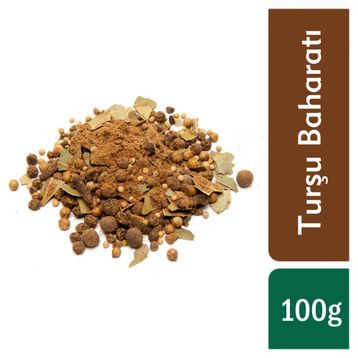 TOS 100 gr Turşu Baharatı