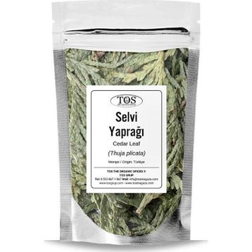 TOS 50 gr Selvi Yaprağı
