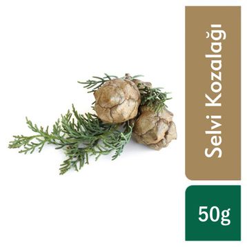 TOS The Organic Spices 50 gr Selvi Kozalağı Cupressus Sempervirens